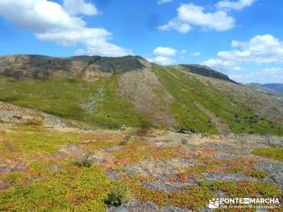 Ocejón - Sierra de Ayllón; charca verde pedriza rutas a pie por madrid rutas senderismo cercedilla